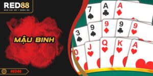 Mậu binh