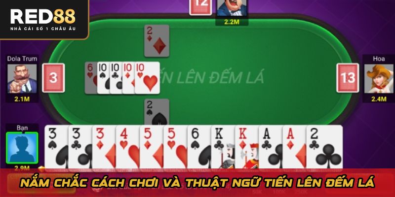 Nắm chắc cách chơi và thuật ngữ tiến lên đếm lá