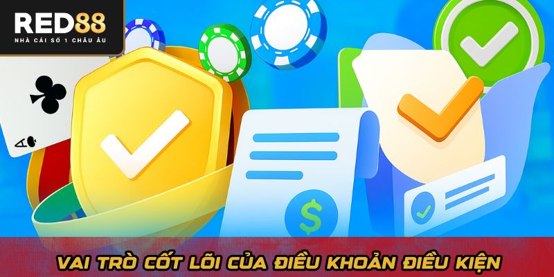 Vai trò cốt lõi của điều khoản điều kiện 