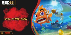 Vua Cướp Biển