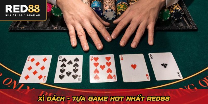 Xì dách - Tựa game hot nhất Red88